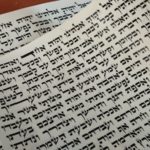 WhatsApp Image 2023-03-20 at 19.06.18 (1)